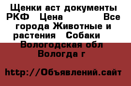 Щенки аст документы РКФ › Цена ­ 15 000 - Все города Животные и растения » Собаки   . Вологодская обл.,Вологда г.